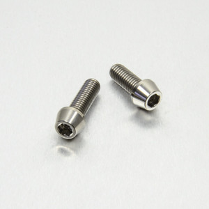 Stainless Steel Rear Brake Master Cylinder Bolts Stainless Steel Rear Brake Master Cylinder Bolts