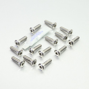 Stainless Steel Disc Bolt To Fit Kawasaki/Suzuki M8x30mm Pack x14 Stainless Steel Disc Bolt To Fit Kawasaki/Suzuki M8x30mm Pack x14