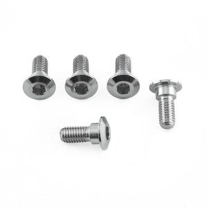 Stainless Steel Disc Bolt To Fit Yamaha M8x20mm Pack x5 Stainless Steel Disc Bolt To Fit Yamaha M8x20mm Pack x5