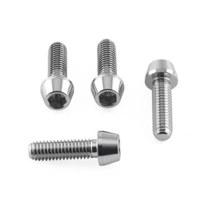 Stainless Steel Brake & Clutch Lever Pinch Bolts