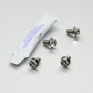 Stainless Steel Disc + Caliper Guard Mount Bolts Stainless Steel Disc + Caliper Guard Mount Bolts