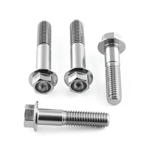 Stainless Steel Front Axle Pinch Bolt Kit