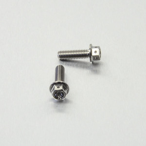 Stainless Steel Hose Clip Mount Bolts Race Spec