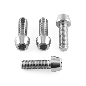 Stainless Steel Rider Footrest Hanger Bolt Kit Stainless Steel Rider Footrest Hanger Bolt Kit