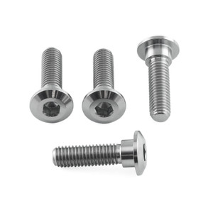 Titanium Disc Bolt To Fit Kawasaki/Suzuki M8x30mm Pack x4 Titanium Disc Bolt To Fit Kawasaki/Suzuki M8x30mm Pack x4
