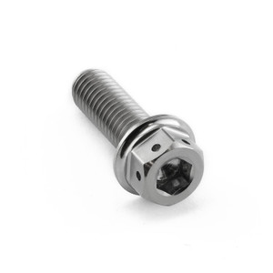 Titanium DualDrive Bolt M8x(1.25mm)x25mm Race Spec