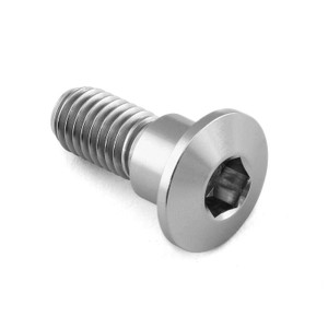 Titanium Disc Bolt To Fit Suzuki M8x22mm Titanium Disc Bolt To Fit Suzuki M8x22mm