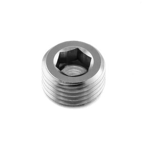 Titanium Caliper Pin Grubscrew M10x(1.00mm) Allen Key Drive Titanium Caliper Pin Grubscrew M10x(1.00mm) Allen Key Drive