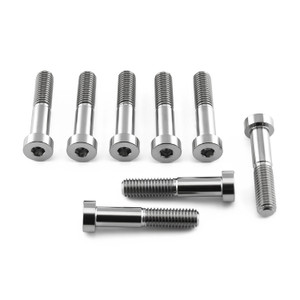 Titanium Brembo Caliper Pinch Bolt M8x(1.25mm)x40mm Pack x8 Titanium Brembo Caliper Pinch Bolt M8x(1.25mm)x40mm Pack x8