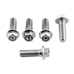 Stainless Steel Disc Bolts M8x(1.25mm)x25mm Flanged Hex Front Pack x5 Stainless Steel Disc Bolts M8x(1.25mm)x25mm Flanged Hex Front Pack x5