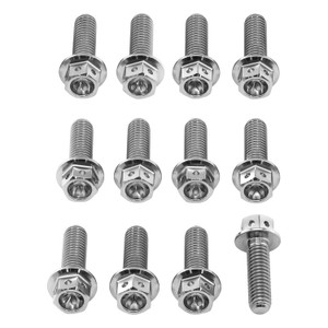 Titanium Disc Bolts M6x(1.00mm)x20mm Race Spec Pack x12