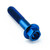Titanium Flanged Hex Head Bolt M6x(1.00mm)x30mm Blue Titanium Flanged Hex Head Bolt M6x(1.00mm)x30mm Blue