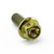 Titanium Flanged Hex Head Bolt M5x(0.80mm)x12mm Race Spec Gold