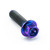 Titanium Flanged Hex Head Bolt M6x(1.00mm)x22mm Race Spec Purple Haze