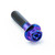 Titanium Flanged Hex Head Bolt M6x(1.00mm)x25mm Race Spec Purple Haze Titanium Flanged Hex Head Bolt M6x(1.00mm)x25mm Race Spec Purple Haze