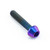 Titanium Socket Cap Bolt M3x(0.50mm)x15mm Purple Haze