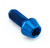 Titanium Socket Cap Bolt M5x(0.80mm)x12mm Blue Titanium Socket Cap Bolt M5x(0.80mm)x12mm Blue