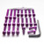 Aluminium Engine Kit Honda ST1100 Pan-Euro Purple Aluminium Engine Kit Honda ST1100 Pan-Euro Purple