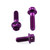 Aluminium Brake & Clutch Lever Perch Pinch Bolt Kit Race Spec Etched Purple