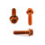 Aluminium Brake & Clutch Lever Perch Pinch Bolt Kit Race Spec Etched Orange