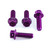 Aluminium Brake & Clutch Lever Perch Pinch Bolt Kit Race Spec Etched Purple