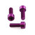 Aluminium Rear Brake Reservoir & Master Cylinder Bolt Kit Purple Aluminium Rear Brake Reservoir & Master Cylinder Bolt Kit Purple