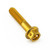 Aluminium Reservoir Mount Bolt Kit Rear Brake Race Spec Etched Gold
