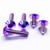 Titanium Chain Guard & Rear Hugger Bolt Kit Purple Haze