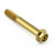 Stainless Steel Flanged Hex Head Bolt M8x(1.25mm)x60mm Gold Stainless Steel Flanged Hex Head Bolt M8x(1.25mm)x60mm Gold
