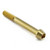 Stainless Steel Socket Cap Bolt M10x(1.25mm)x85mm Gold