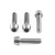 Stainless Steel Screen/Mirror Mounting Bolt kitt