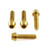 Stainless Steel Screen/Mirror Mounting Bolt kitt Gold