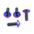 Titanium Screen Kit 4 Bolt Purple Haze Titanium Screen Kit 4 Bolt Purple Haze