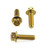 Stainless Steel Brake & Clutch Lever Pinch Bolts Race Spec Gold Stainless Steel Brake & Clutch Lever Pinch Bolts Race Spec Gold