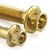 Stainless Steel Brake & Clutch Lever Pinch Bolts Race Spec (SSBCPERCH520R) Stainless Steel Brake & Clutch Lever Pinch Bolts Race Spec (SSBCPERCH520R)