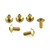 Stainless Steel Exhaust End Cap Bolt Kit Gold