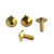 Stainless Steel Exhaust Heat Shield Mount Bolts Gold