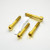 Stainless Steel Front Brake Mounting Bolt Kit Gold