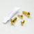 Stainless Steel Headlight Mount Bolt Kit Gold