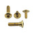 Stainless Steel Heel Plate Bolt Kit Gold