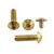 Stainless Steel Footrest Heel Plate Bolt Kit Gold