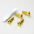 Stainless Steel Rider Footrest Hanger Bolt Kit Gold