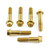 Stainless Steel Top & Bottom Yoke Pinch Set Gold