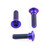 Titanium Disc Bolt To Fit Kawasaki/Suzuki M8x30mm Pack x3 Purple Haze Titanium Disc Bolt To Fit Kawasaki/Suzuki M8x30mm Pack x3 Purple Haze