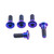 Titanium Disc Bolt To Fit Honda M8x24mm Pack x5 Purple Haze