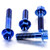 Titanium Brake & Clutch Lever Perch Pinch Bolt Kit Blue