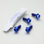Titanium Chain Guard Mount Bolt Kit Blue