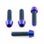 Titanium Clip-On / Handle Bar Mount Bolt Kit Purple Haze Titanium Clip-On / Handle Bar Mount Bolt Kit Purple Haze