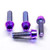 Titanium Clip-On / Handle Bar Mount Bolt Kit Purple Haze Titanium Clip-On / Handle Bar Mount Bolt Kit Purple Haze