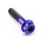 Titanium DualDrive Bolt M6x(1.00mm)x28mm Race Spec Purple Haze